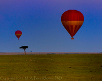 ©2021 M. A. Price-Rhodes. All Rights Reserved.