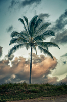 ©2021 M. A. Price-Rhodes. All Rights Reserved.