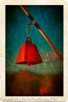 ©2021 M. A. Price-Rhodes. All Rights Reserved.