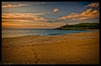 ©2021 M. A. Price-Rhodes. All Rights Reserved.