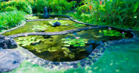 ©2021 M. A. Price-Rhodes. All Rights Reserved.