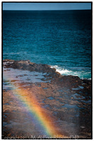 ©2021 M. A. Price-Rhodes. All Rights Reserved.