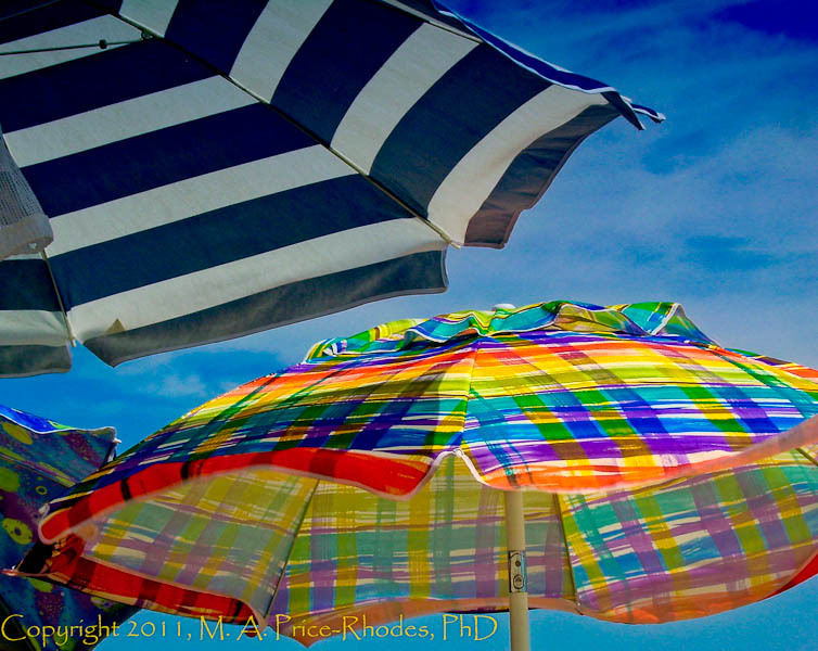 Beach Umbrellas Catching Rays