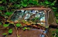 ©2021 M. A. Price-Rhodes. All Rights Reserved.