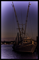 ©2021 M. A. Price-Rhodes. All Rights Reserved.