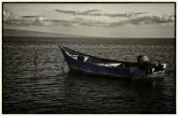 ©2021 M. A. Price-Rhodes. All Rights Reserved.
